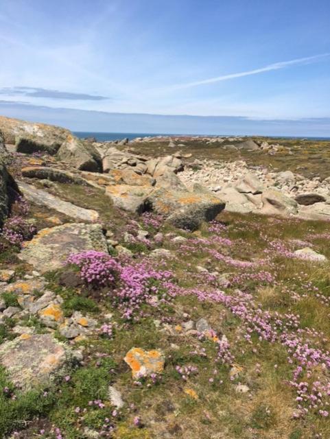 Belle Vue Sur Mer Saint-Michel-en-Greve ภายนอก รูปภาพ